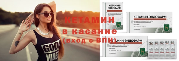 стаф Богданович