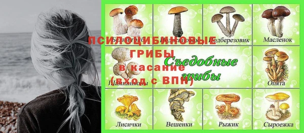 винт Беломорск