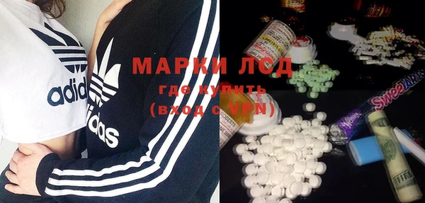 стаф Богданович