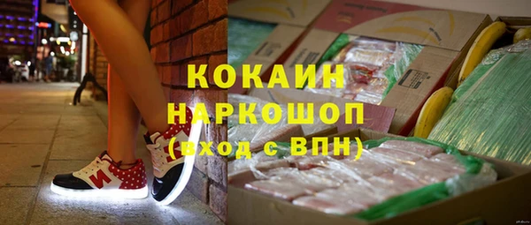стаф Богородицк