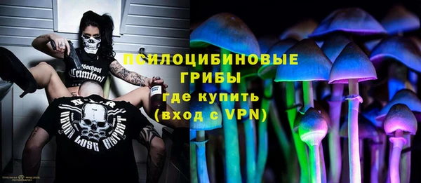 стаф Богданович