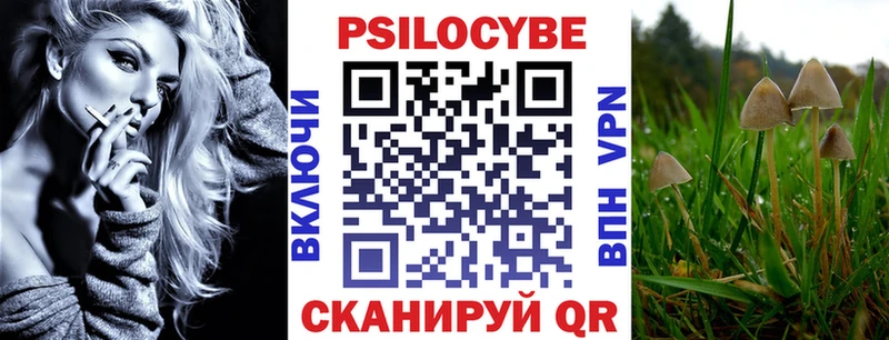 купить наркотик  Болотное  Галлюциногенные грибы GOLDEN TEACHER 